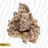 Buy cheap pounds of thca flower , Buy Randy Watzon thca flower